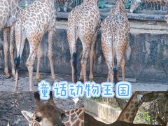 -长鹿旅游休博园