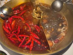 -小龙翻大江文化火锅(宽窄店)