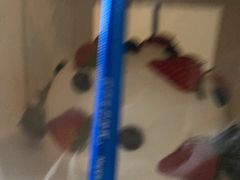 -BRIGNA百丽格娜·纯动物奶油生日蛋糕(武汉旗舰店)