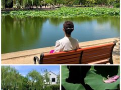 -南翠屏公园