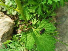 -北京密云天门山风景区
