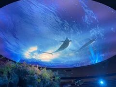 -陕西自然博物馆