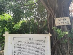 -东江渔村·古典园林·30年粤菜老字号(太和店)