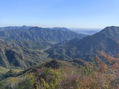 -大岭沟猕猴桃谷风景区