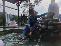 -崇阳三特浪口温泉