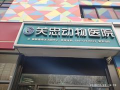 -瑞派·关忠动物医院·异宠专科·犬猫肿瘤·皮肤专科(望京店)