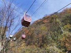 -王顺山国家森林公园