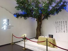 -中国沉香文化博物馆