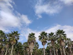 -厦门国家会计学院