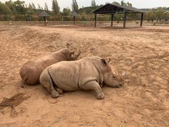 -鄂尔多斯野生动物园