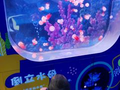 -沙沙哗啦海洋馆(华宇百花谷店)