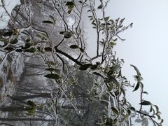 iphone_upload_pic-大明山自然探索公园