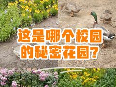 -北京市海淀外国语实验学校