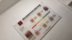 -痘博士烟台·全国连锁祛痘机构