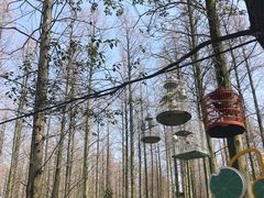-东平国家森林公园
