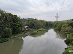 -广东花都湖国家湿地公园