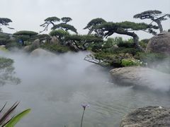 -罗红摄影艺术馆