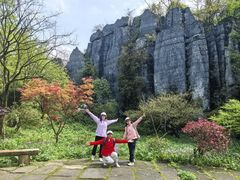 -山王坪喀斯特国家生态公园