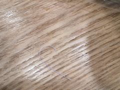 -老苏州大客堂·苏帮菜·松鼠桂鱼·苏州传统小吃(观前街人民商场店)