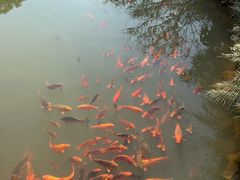 -灵栖洞天