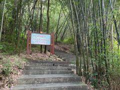 -羚羊峡古栈道森林公园