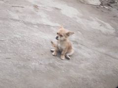 -乡乐园蟹庄·阳澄湖农家乐