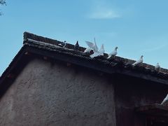 -良渚古城遗址公园