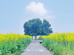 -中国天府农业博览园