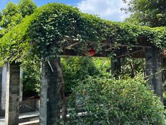 -广州神农草堂中医药博物馆