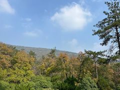 -紫金山山顶公园