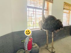 -河北村民俗体验园