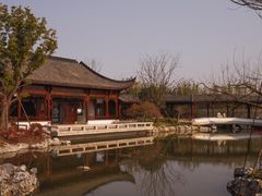-上海滨江森林公园