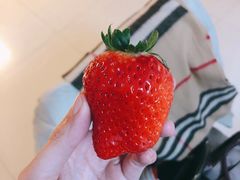 -高老太奶油小攀(新建南路店)