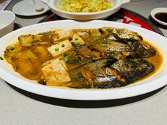 -大锅强·蒸海鲜青岛菜(城市阳台店)