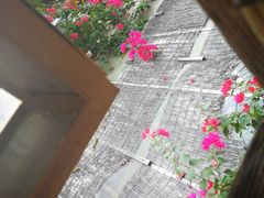 -深圳大旅小舍精品艺术民宿