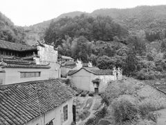 -杨家堂村