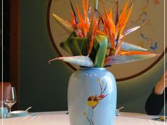 -蝶园·装修中(BFC外滩金融中心店)