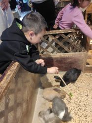 -酷嗒动物文化乐园(cutezoo西溪乐天城店)