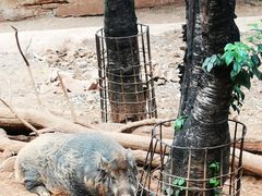 -昆明动物园
