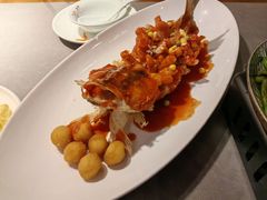 特色松鼠鱼（苏州招牌菜）-姑苏家宴·苏帮菜·松鼠桂鱼(苏州总店)