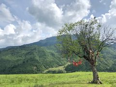 -硗碛藏寨·神木垒景区