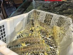 -阳江餐厅·30年老字号·粤菜海鲜大排档