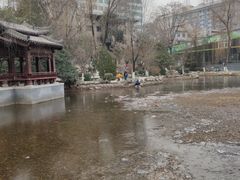 -莲湖公园