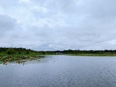 -上海海湾国家森林公园