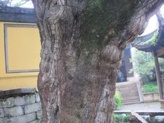 -无锡惠山寺