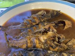 -邵年鸽(杨庄店)