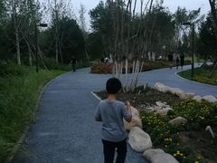 -回龙观体育文化公园