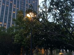 -常熟理文铂尔曼酒店