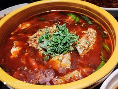 霸王水煮鱼-陈麻婆豆腐总店