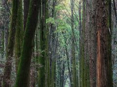 -同里国家湿地公园
